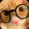 unknowpro