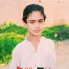 vistro.sahab8