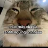 hhhhhhhha666