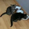 Kathy & Sozy