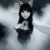 Diva_felina