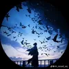 h.phuong316