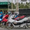 pcx160albino