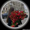 shoonlaemoe83