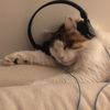 cmeoww_