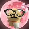poopchacco2