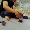 randu.boyo