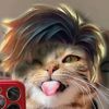ur.maunglay