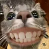 su_mogs_raptor