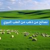 user4679153845026