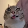 nathanieljames05