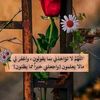 yassin.mohammed50