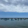 thanhtam_7654