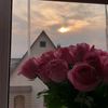 ragimova_19