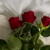 farahfarah79670