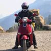 noom_232522