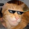 timmy24070