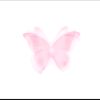naddd_484