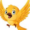 bird48504
