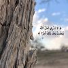 reham.sayed27