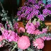 xiaoyixiandptkm