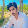 ali_shah_5164