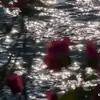 mesutozil_depzai