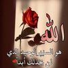 arwa.arwa311