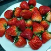 huong.pham657