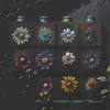 qingsong20