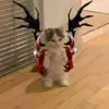 tt_tot9