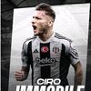 immobilee66