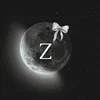 znhmur199
