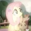 dollyguaranak