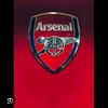 thatarsenalfan56