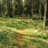 ksyusha_976