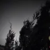 kura_bebaxtaka06