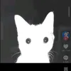 olatyxda9