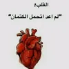 user254857785341