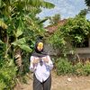 melis_nhw