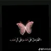 6nkk8