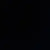 andrea_robert2