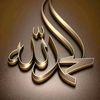 user6360091860735