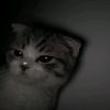 777_jami_stef_777