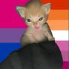 kittaykat0_0