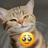 marvin.paau06