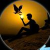 user8337432580268