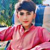 wadero.arman.ali