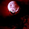 skelly_v4mp