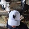 wijaya_farm24